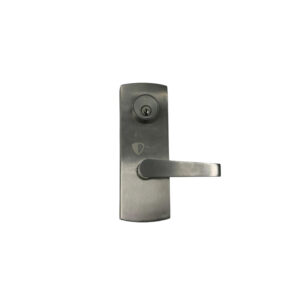 EPA1601 - IPIXA Outside Access Device/Electrified Panic Lever